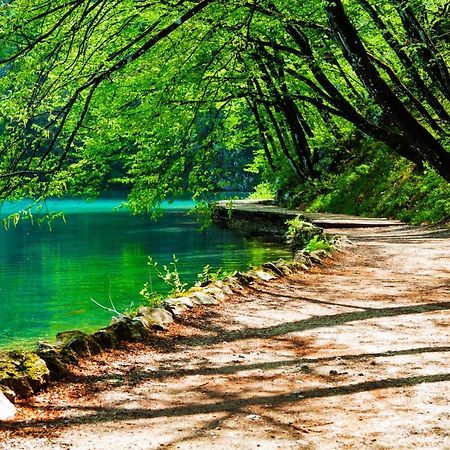 Plitvicka Kuca D - Plitvice Lakes Plitvička Jezera Buitenkant foto